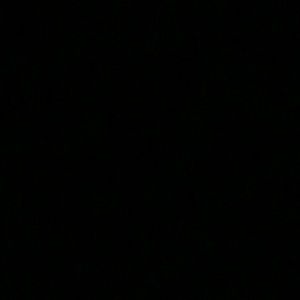 Meet your Posher, Jesus